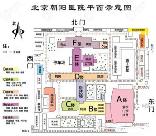 北京朝陽醫(yī)院地址