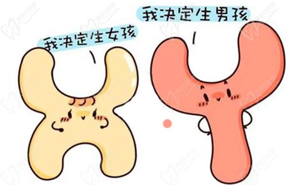 泰國變性手術(shù)需要多少錢