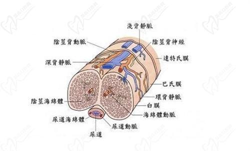 2025李世榮教授還出診嗎?在的-李世榮醫(yī)生目前在重慶星榮整形出門診,可通過電話/官網(wǎng)/微信預(yù)約